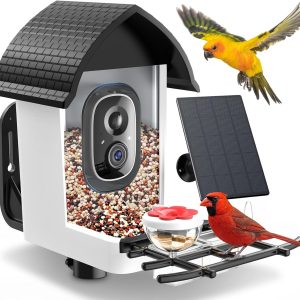 Bird Feeder with Camera - Faddial