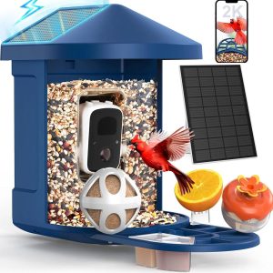 Bird Feeder with Camera PeckCam