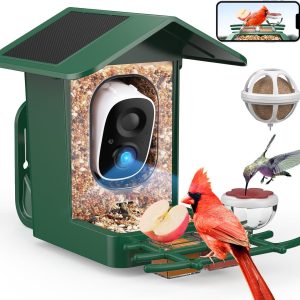 Bird Feeder with Camera PeckCam