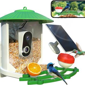 Bird Feeder with Camera - SkyPix