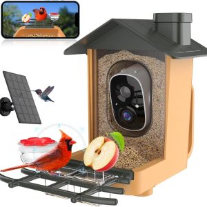 Bird Feeder with Camera kompinac