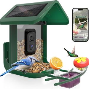 Bird Feeder with Camera onlyfly