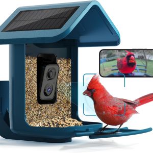 Bird Feeder with Camera - onlyfly