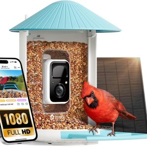 Birdfy Smart Bird Feeder NETVUE