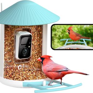 Birdfy Smart Bird Feeder with Camera - NETVUE