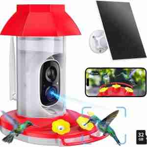 Hummingbird Feeder with Camera