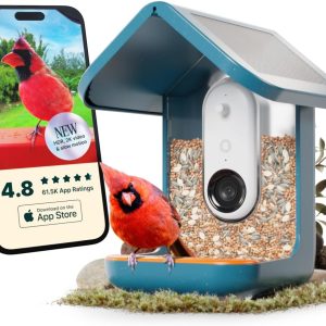 Solar Smart Bird Feeder with Camera - Bird Buddy